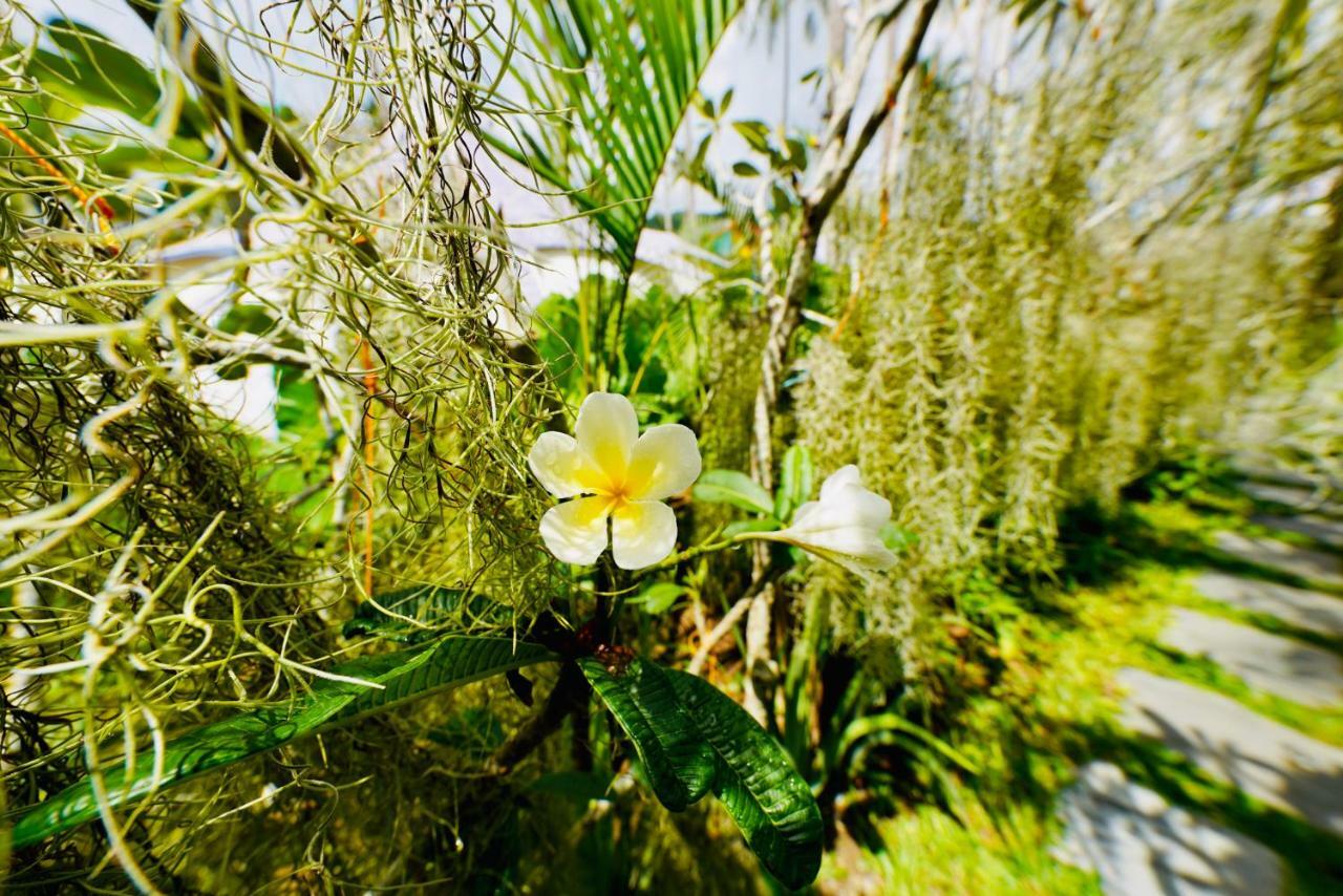 Nacpan Beach Glamping Managed By H Hospitality Group El Nido Exterior photo